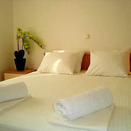 Appartement Spacious With Garage And Private Yard, *