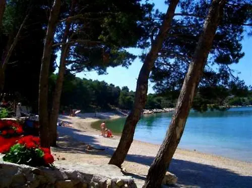 Appartement Spacious With Garage And Private Yard,